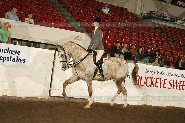 Proof 06buckeye_0081
