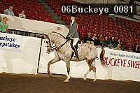 06buckeye_0081 proof