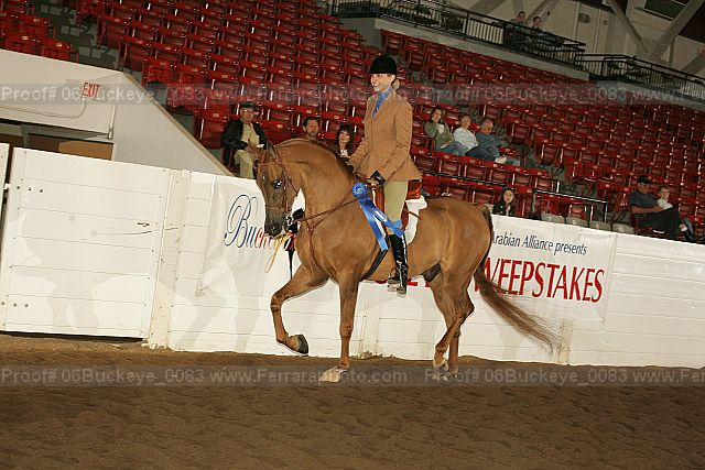 Proof 06buckeye_0083