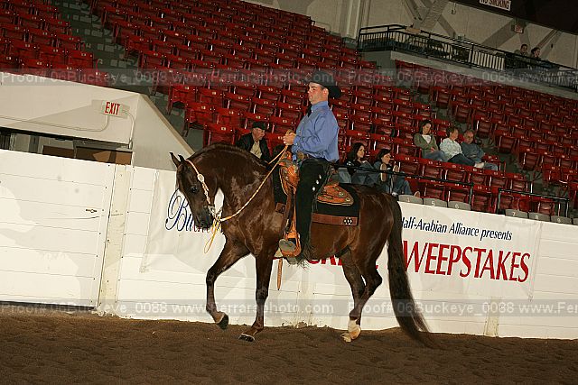 Proof 06buckeye_0088