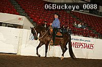 06buckeye_0088 proof