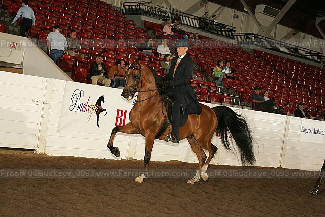 Proof 06buckeye_0093