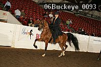 06buckeye_0093 proof