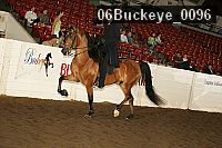 06buckeye_0096 proof