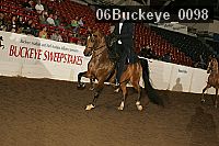 06buckeye_0098 proof