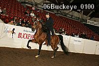 06buckeye_0100 proof