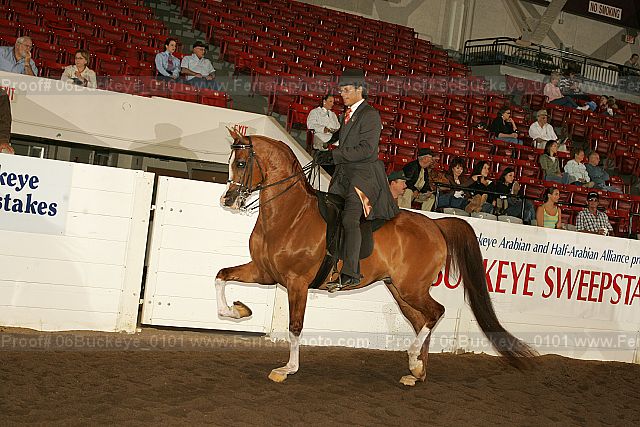 Proof 06buckeye_0101