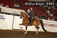 06buckeye_0101 proof