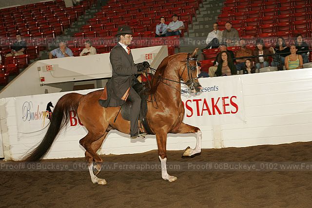 Proof 06buckeye_0102