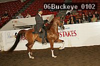 06buckeye_0102 proof