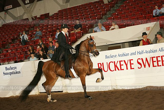 Proof 06buckeye_0103