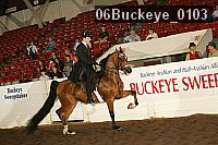 06buckeye_0103 proof