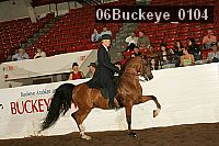 06buckeye_0104 proof