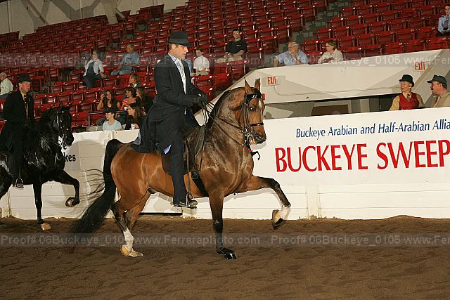Proof 06buckeye_0105