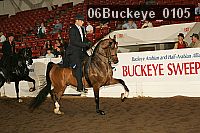 06buckeye_0105 proof