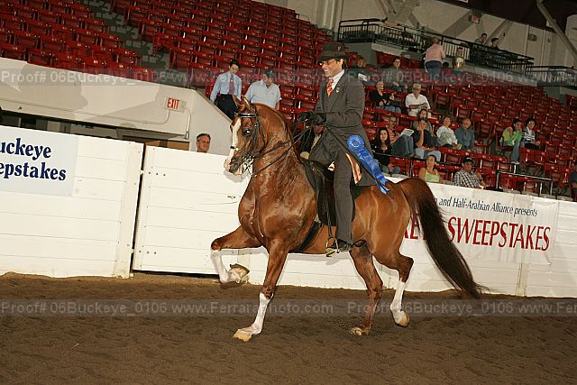 Proof 06buckeye_0106