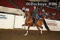 06buckeye_0106 proof