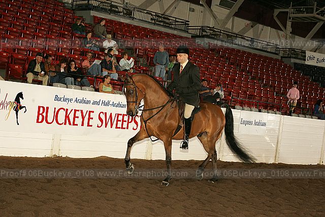 Proof 06buckeye_0108