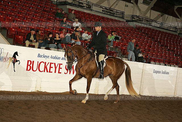 Proof 06buckeye_0109