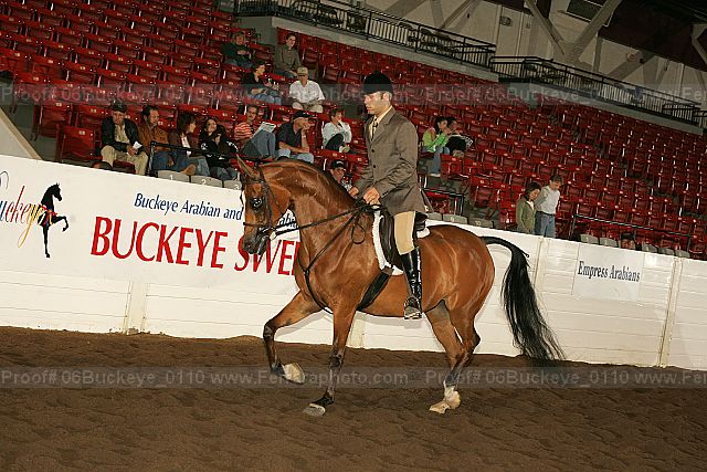 Proof 06buckeye_0110