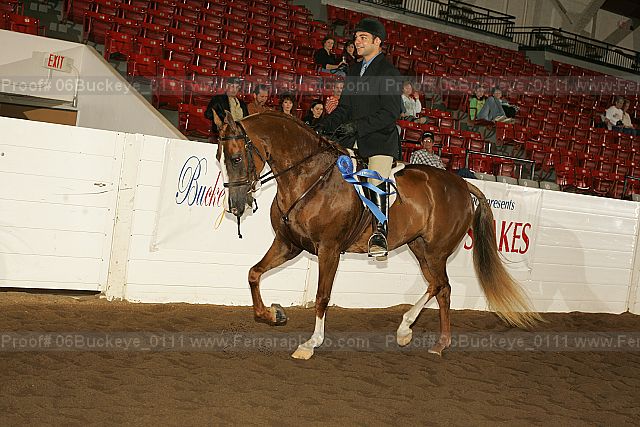 Proof 06buckeye_0111