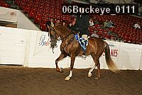 06buckeye_0111 proof