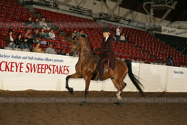 Proof 06buckeye_0113