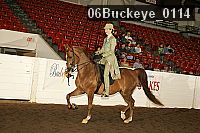06buckeye_0114 proof