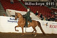 06buckeye_0115 proof