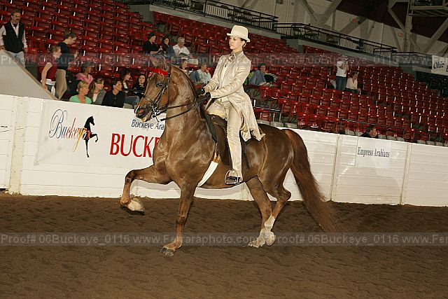 Proof 06buckeye_0116