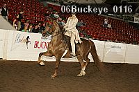 06buckeye_0116 proof