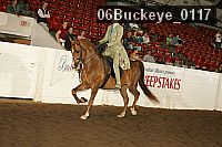 06buckeye_0117 proof