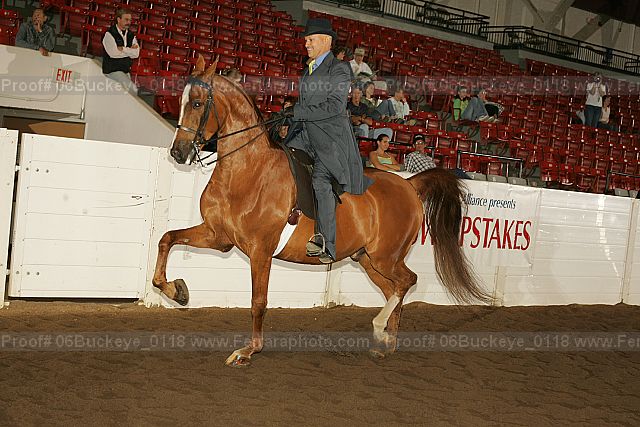 Proof 06buckeye_0118