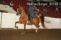 06buckeye_0118 proof