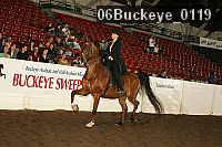 06buckeye_0119 proof