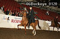 06buckeye_0120 proof