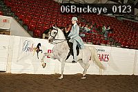 06buckeye_0123 proof