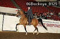 06buckeye_0125 proof