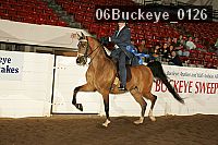06buckeye_0126 proof