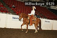 06buckeye_0129 proof