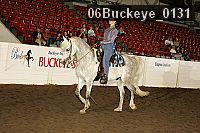 06buckeye_0131 proof