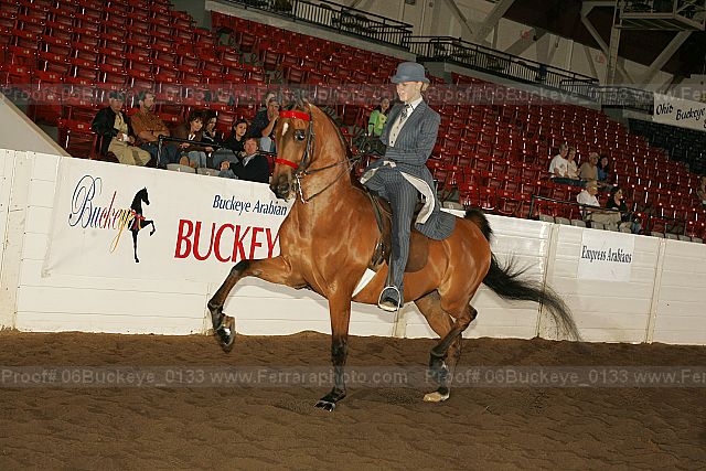 Proof 06buckeye_0133