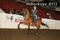 06buckeye_0133 proof