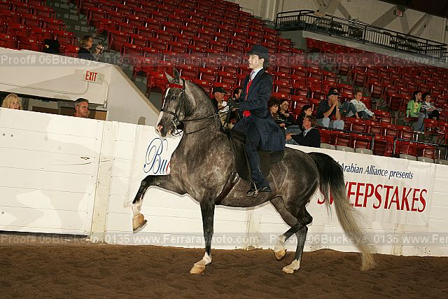 Proof 06buckeye_0135