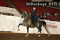 06buckeye_0135 proof
