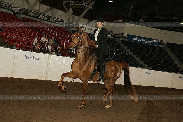Proof 06buckeye_0136