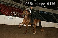 06buckeye_0136 proof