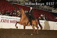 06buckeye_0137 proof