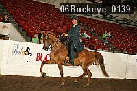 06buckeye_0139 proof