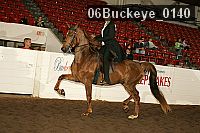 06buckeye_0140 proof